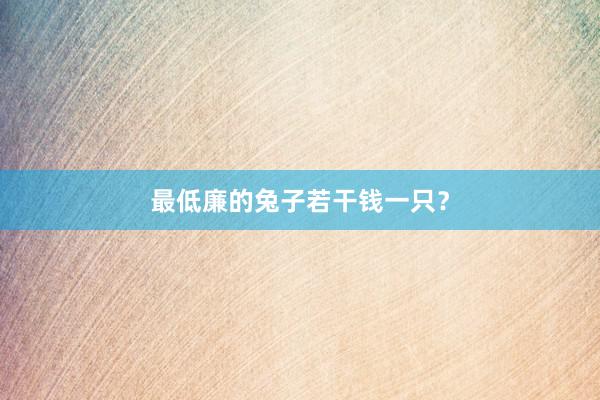 最低廉的兔子若干钱一只？